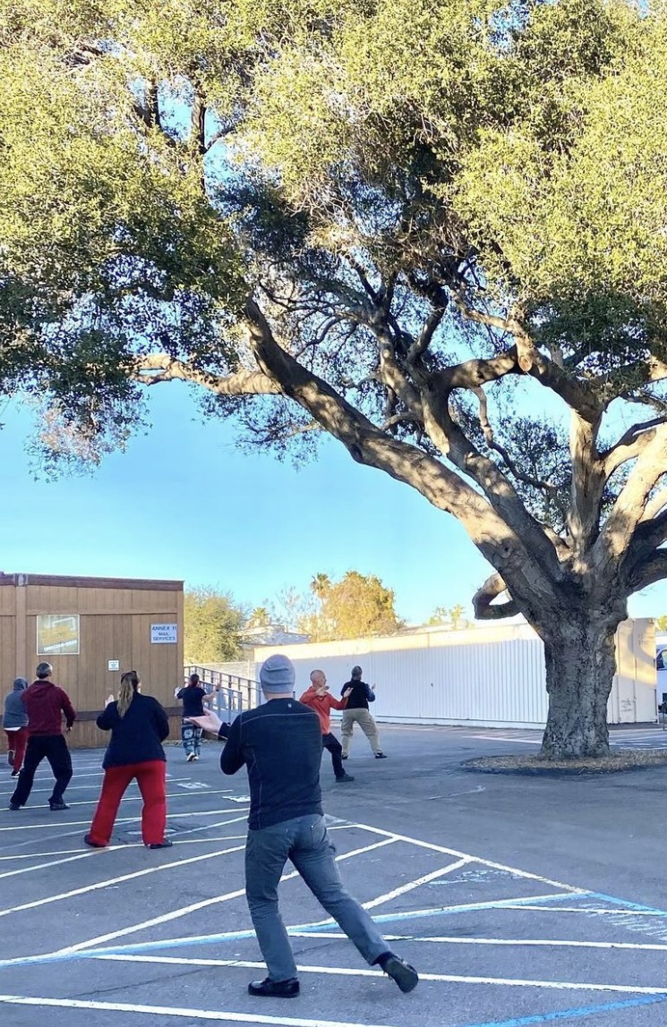 Practicing under the oak